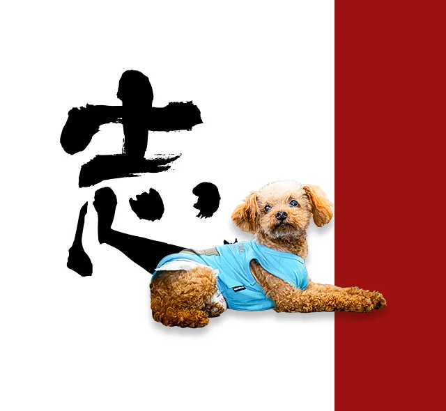 /image/sp_design05_top.jpg